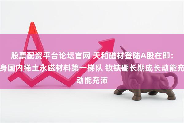 股票配资平台论坛官网 天和磁材登陆A股在即：跻身国内稀土永磁材料第一梯队 钕铁硼长期成长动能充沛