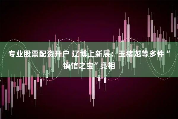 专业股票配资开户 辽博上新展：玉猪龙等多件“镇馆之宝”亮相